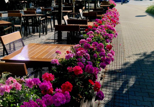 Garden-restaurant-in-the-park